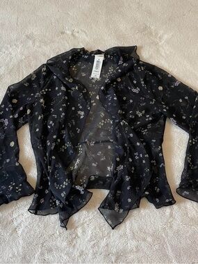 Aritzia Wilfred sheer top